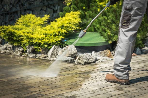 Best Spring Cleaning  in Cohoes, NY
